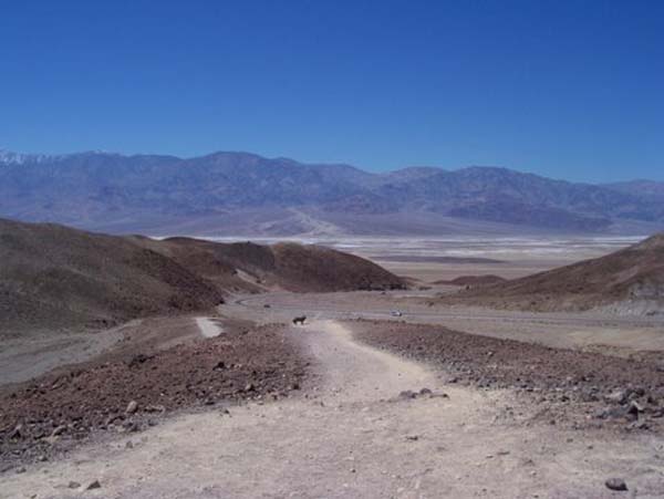 Death Valley 2008 036